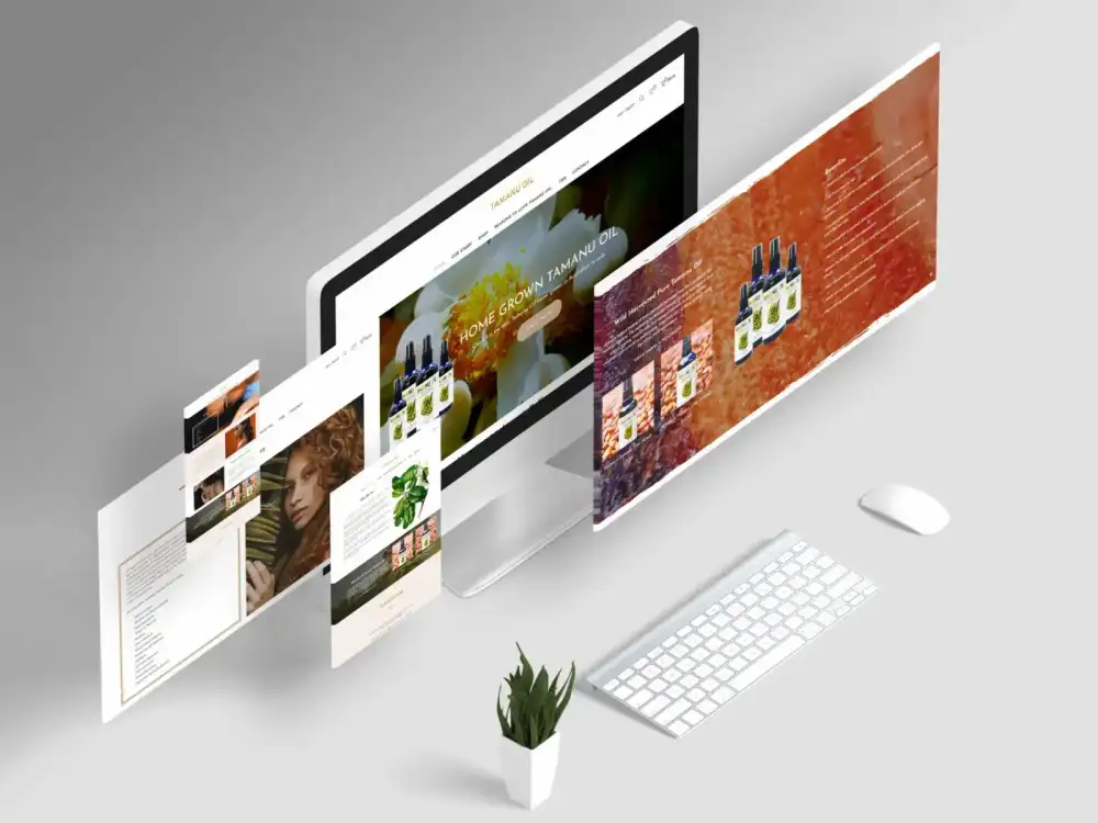 Web design projects by a professional web design company