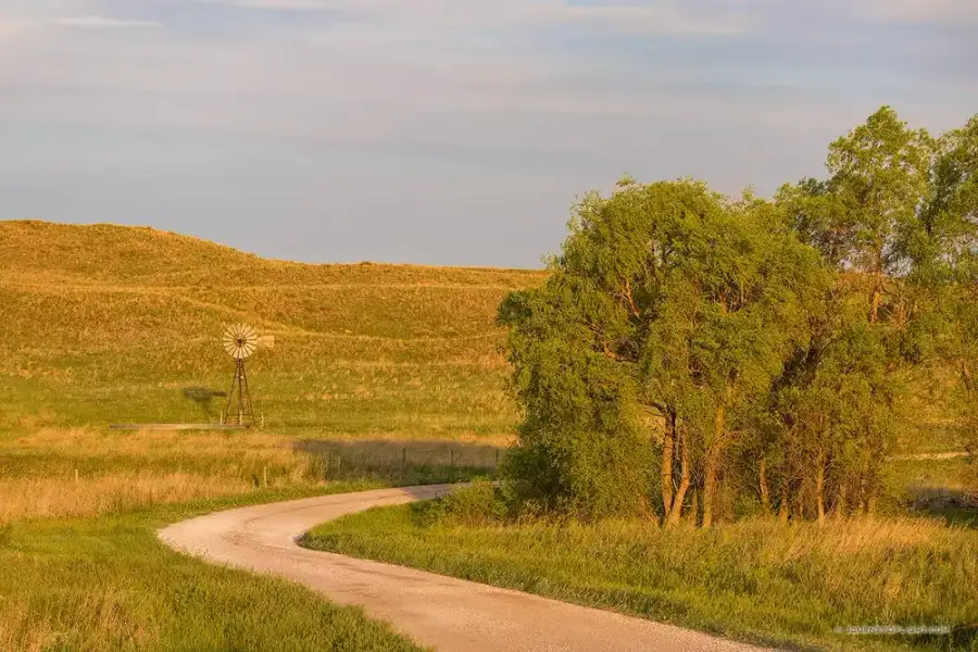 nebraska hills where website designer is near